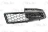 BLIC 6502-07-1301992P Ventilation Grille, bumper